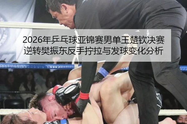 2026年乒乓球亚锦赛男单王楚钦决赛逆转樊振东反手拧拉与发球变化分析